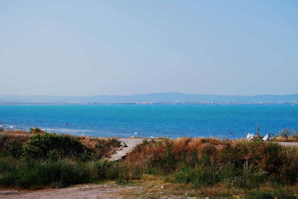 Dune Boutique Hotel بوموري المظهر الخارجي الصورة